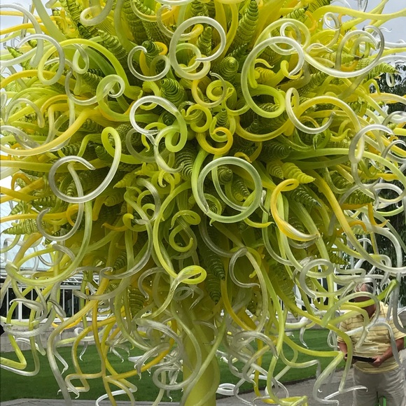 Meet your Posher, Toni - Picture 1 of 1